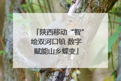 陕西移动“智”绘双河口镇 数字赋能山乡蝶变