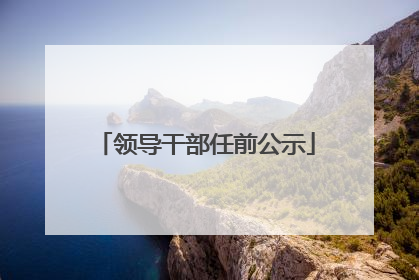 领导干部任前公示
