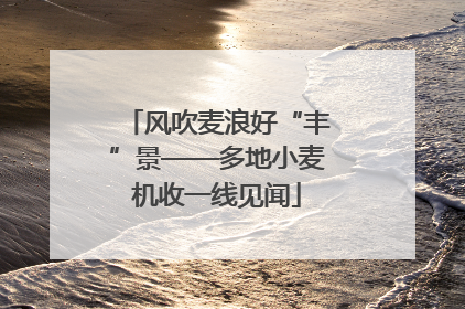 风吹麦浪好“丰”景——多地小麦机收一线见闻