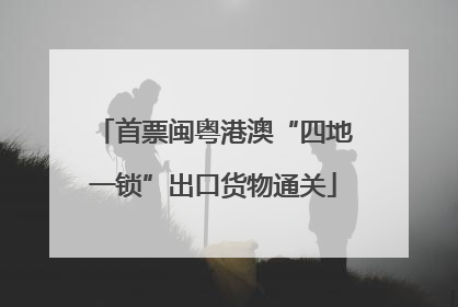 首票闽粤港澳“四地一锁”出口货物通关