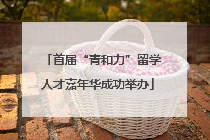 首届“青和力”留学人才嘉年华成功举办