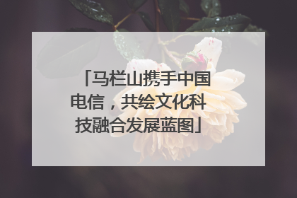 马栏山携手中国电信，共绘文化科技融合发展蓝图