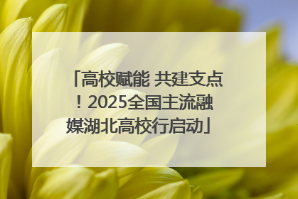 高校赋能 共建支点！2025全国主流融媒湖北高校行启动