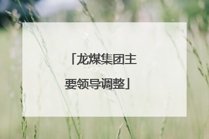 龙煤集团主要领导调整