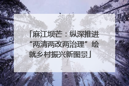 麻江坝芒：纵深推进“两清两改两治理”绘就乡村振兴新图景