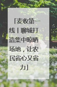 麦收第一线丨聊城打造集中晾晒场地，让农民省心又省力