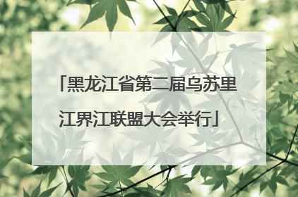黑龙江省第二届乌苏里江界江联盟大会举行