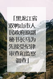 黑龙江省双鸭山市人民政府原副秘书长马为先接受纪律审查和监察调查