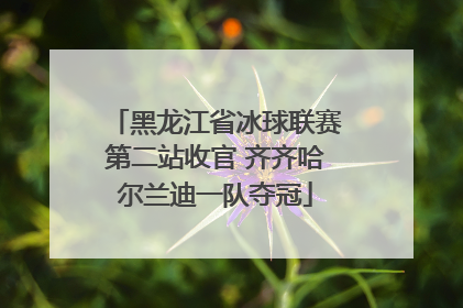 黑龙江省冰球联赛第二站收官 齐齐哈尔兰迪一队夺冠
