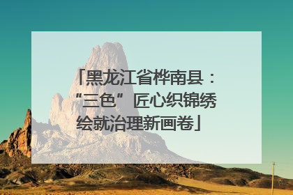 黑龙江省桦南县：“三色”匠心织锦绣 绘就治理新画卷