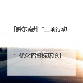 黔东南州“三项行动”优化招投标环境