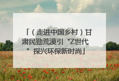 （走进中国乡村）甘肃民勤荒漠引“Z世代”探兴环保新时尚