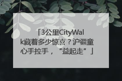 3公里CityWalk藏着多少惊喜？沪疆童心手拉手，“益起走”