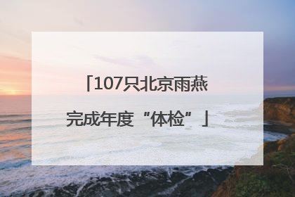 107只北京雨燕完成年度“体检”