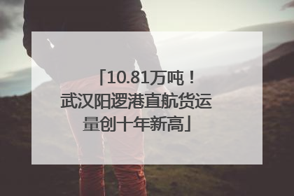10.81万吨！武汉阳逻港直航货运量创十年新高