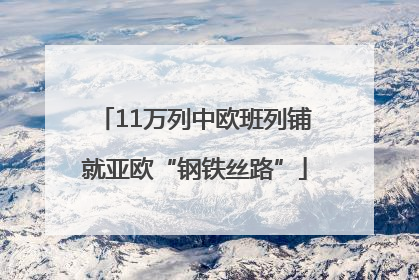 11万列中欧班列铺就亚欧“钢铁丝路”
