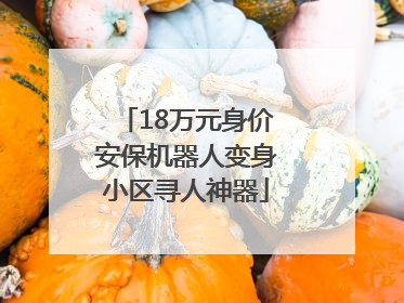 18万元身价安保机器人变身小区寻人神器