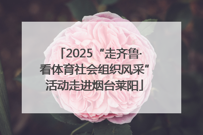 2025“走齐鲁·看体育社会组织风采”活动走进烟台莱阳