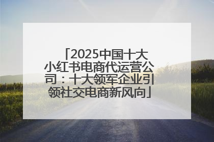 2025中国十大小红书电商代运营公司：十大领军企业引领社交电商新风向