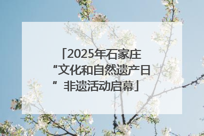 2025年石家庄“文化和自然遗产日”非遗活动启幕