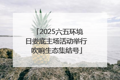 2025六五环境日娄底主场活动举行 吹响生态集结号