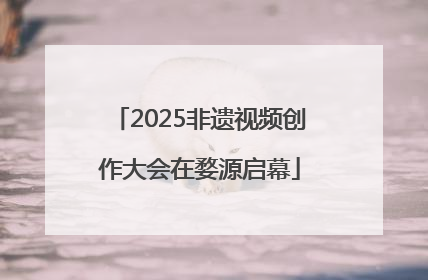 2025非遗视频创作大会在婺源启幕