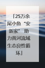 25万余尾小鱼“安新家” 助力黄河流域生态良性循环