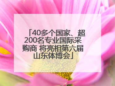 40多个国家、超200名专业国际采购商 将亮相第六届山东体博会