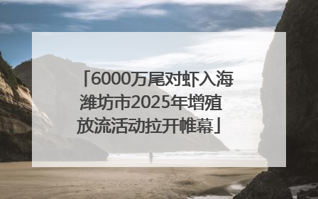 6000万尾对虾入海 潍坊市2025年增殖放流活动拉开帷幕