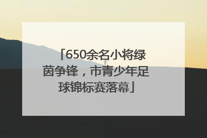 650余名小将绿茵争锋，市青少年足球锦标赛落幕