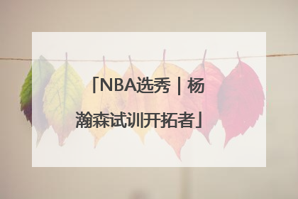 NBA选秀｜杨瀚森试训开拓者