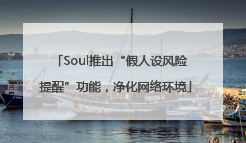 Soul推出“假人设风险提醒”功能，净化网络环境